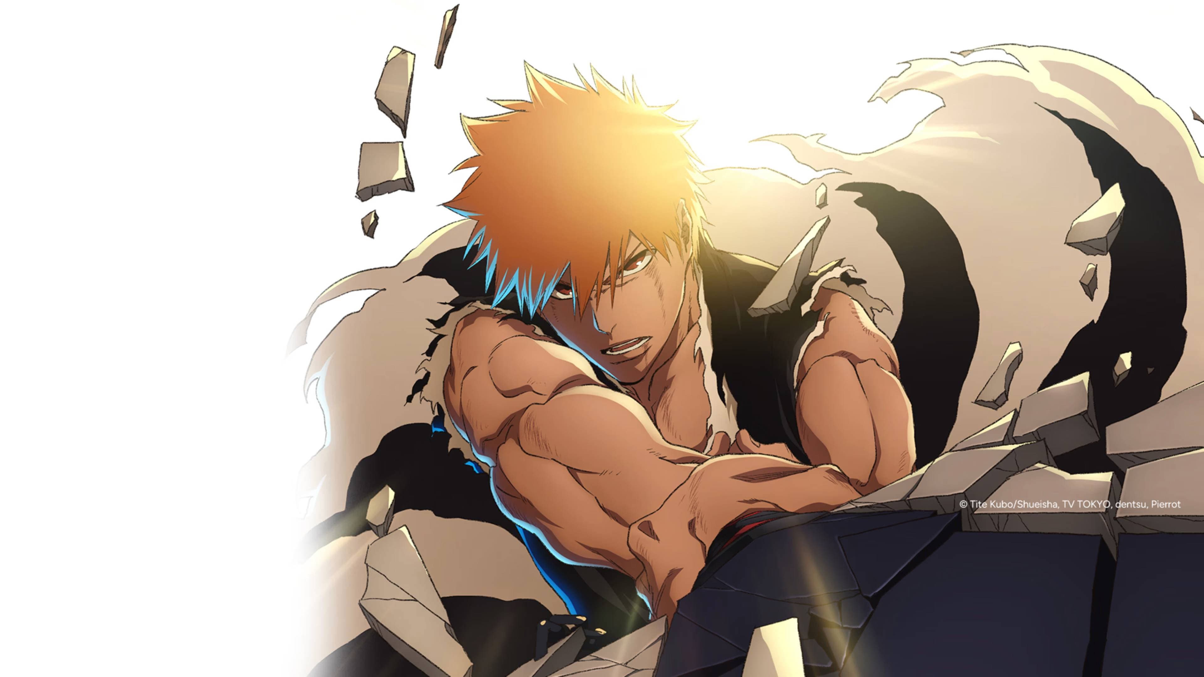 Affiche de présentation de Bleach: Thousand-Year Blood War - The Calamity