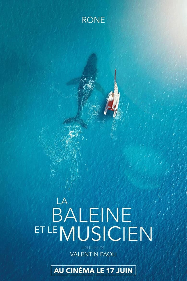 Affiche du film La Baleine et le musicien au cinéma le 17 juin 2026