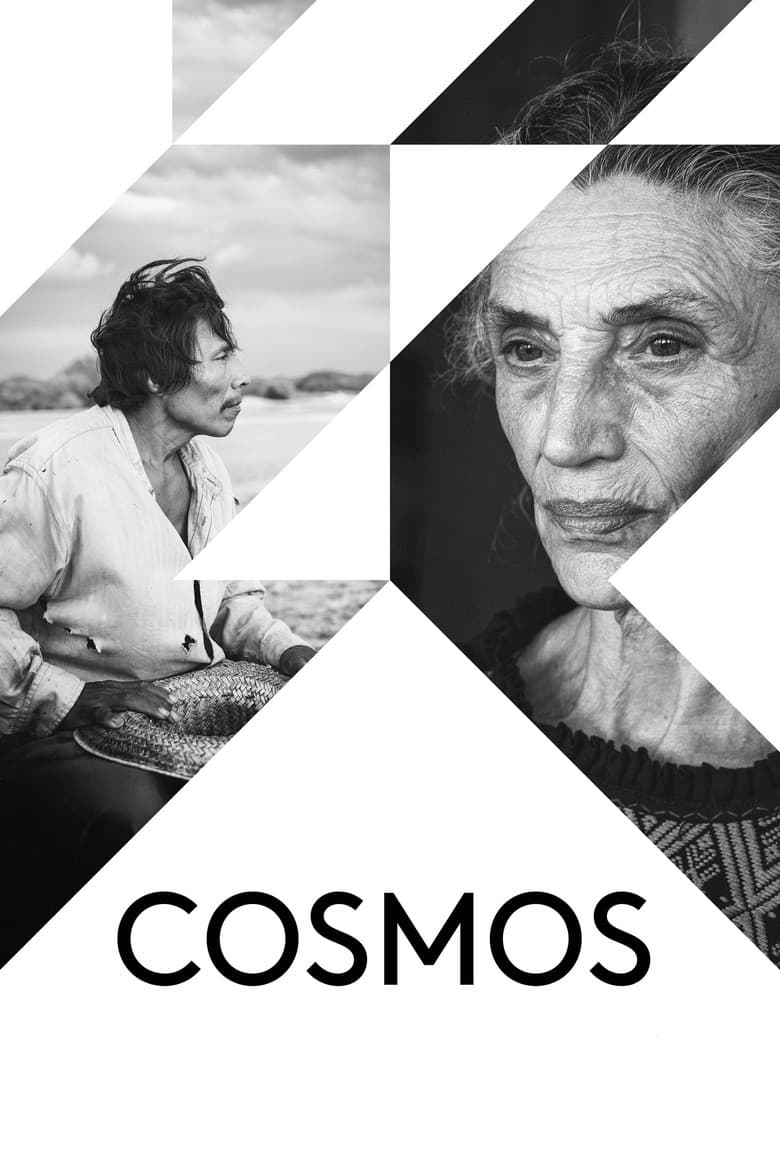 Affiche du film Cosmos au cinéma le 6 mai 2026