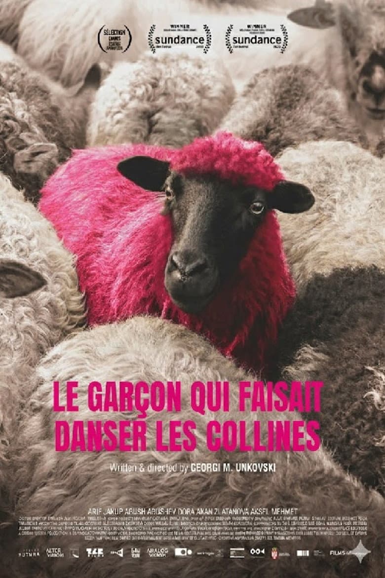 Affiche du film Le Garçon qui faisait danser les collines au cinéma le 3 juin 2026